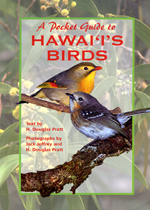 A Pocket Guide to Hawaii's Birds (bookcover)