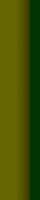 border